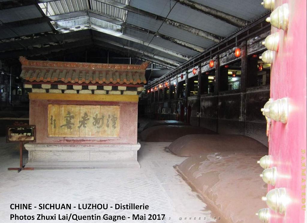 Luzhou 101.JPG